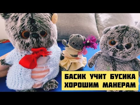 Видео: Басик учит Бусика хорошим манерам