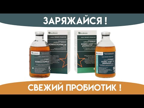 Видео: Просто о сложном. Как пробиотики спасают жизнь