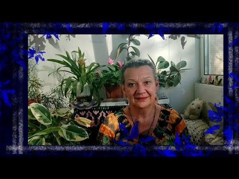 Видео: Рукодельные раздумья. Я не соблюдаю правила!   #болталка #болталкаподвязание