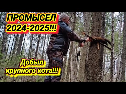 Видео: Первая проверка 2024!!!