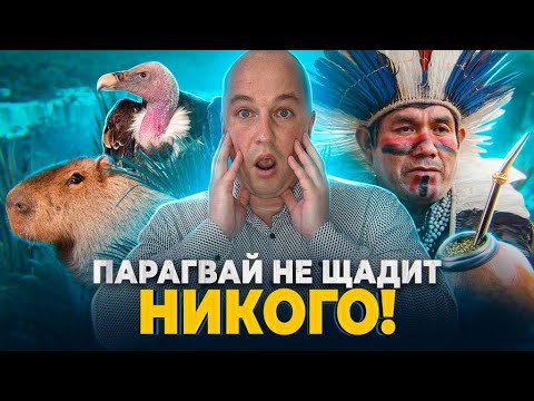 Видео: 😱 Парагвай не щадит никого! Как иммиграция меняет человека?