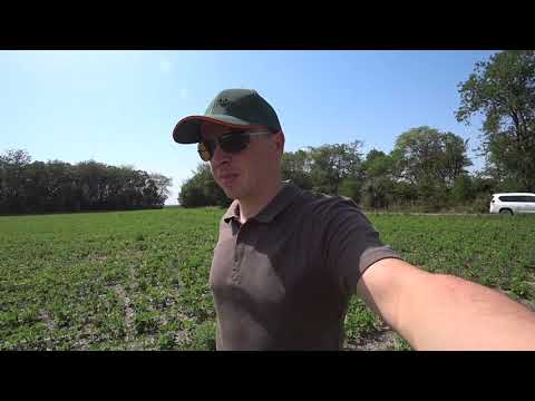 Видео: Феномен увеличения гумуса в 3 раза  Часть 1