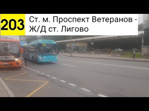 Видео: Автобус 203. Ст. м. Проспект Ветеранов - Ж/Д ст. Лигово