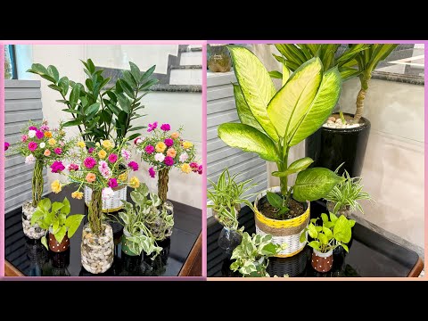 Видео: Уникальное преображение с использованными пластиковыми бутылками, идеи для мини-садов в помещении