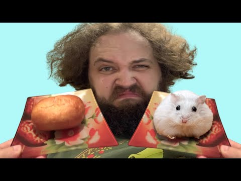 Видео: Бэбэй смотрит обзор на "УНИКАЛЬНЫЙ" пирожок от Толяна, а Кузя наяривает