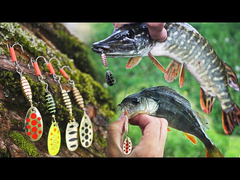 Видео: Эта блесна вертушка КОСИТ ЩУКУ и ОКУНЯ / Стритфишинг в Минске
