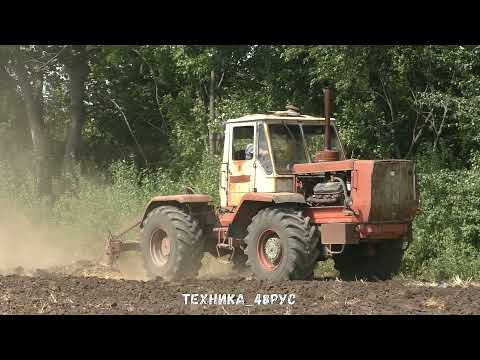 Видео: Трактор Т-150К ХТЗ пашет плугом ПЛН-5-35. Советская классика. Лето 2021