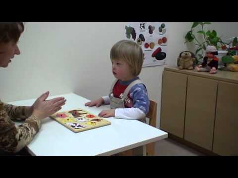 Видео: Особенности речевого развития ребенка с синдромом Дауна.  Часть Вторая
