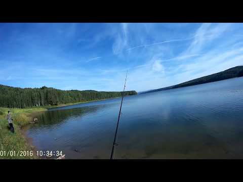 Видео: Рыбалка КВХ залив Дербина, ловля окуня и щуки