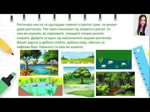 Видео: III одделение - Природни науки - Групирање на растенија