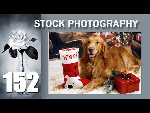 Видео: 152. Stock. Рождественская сессия, Ричард в главной роли.