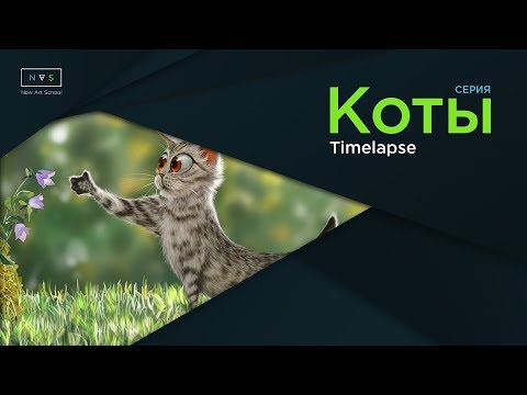 Видео: Рисуем кота-ушлёпка на Ipad