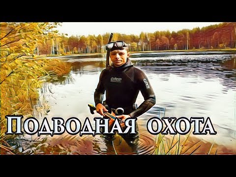 Видео: Подводная охота. Озеро Глубокое. Август. Щука.