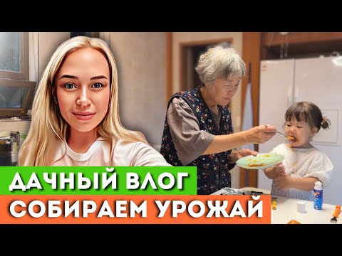 Видео: Рассвет у моря |ДАЧНЫЙ РЕЛАКС| и рамён, который мне не доверили сварить| KOREA VLOG