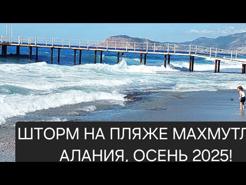 Видео: ШТОРМ НА ПЛЯЖЕ!🌊🌊⛱️Испугалась лезть на пирс😱!Готовлю сибас на обед🍤🍽!