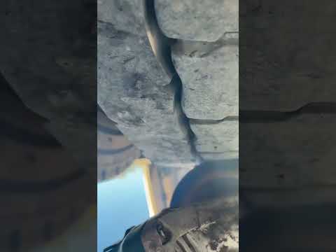 Видео: 20 октября 2025 г.