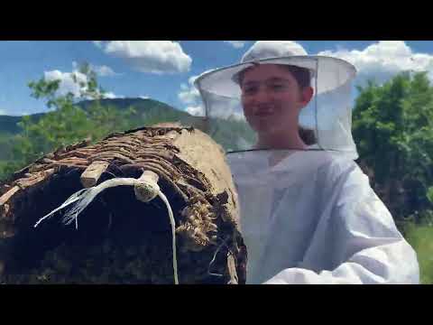 Видео: От Родопите до Германия: Историята на едно семейство и техния мед | Dir.bg