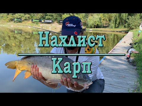 Видео: Нахлист. Короп