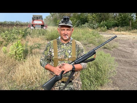 Видео: Охота на перепела сезон(2024-2025) свекла пока рулит