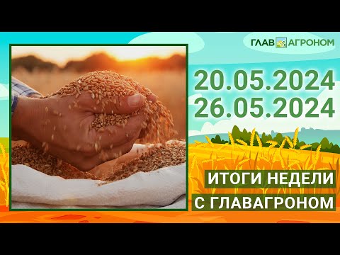 Видео: Итоги недели с ГлавАгроном. 20.05.2024 - 26.05.2024