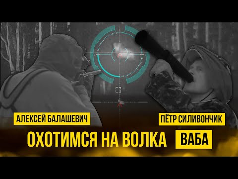 Видео: Охотимся на волка с вабой . Петр Силивончик #охота #спектроптик #охотник #hunting #волк #оптика