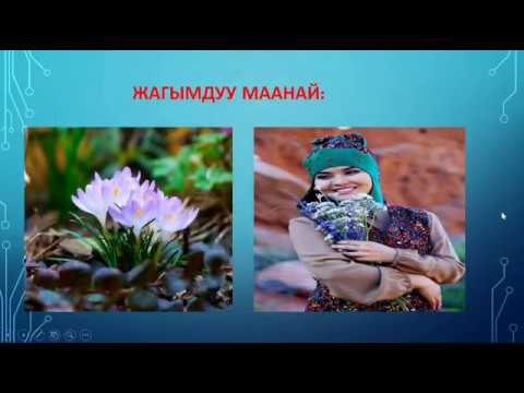 Видео: Бышыктооч, анын түрлөрү///Осекова Т.Колледж