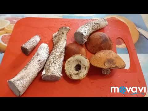 Видео: Жареные подосиновики быстро и просто