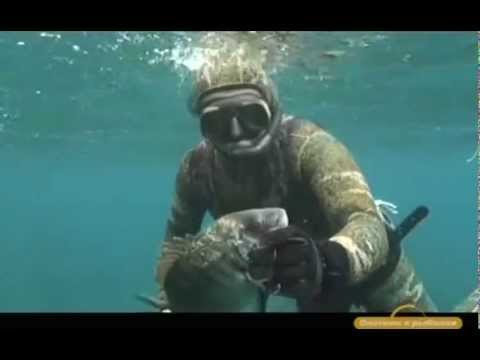 Видео: Февраль в Метони