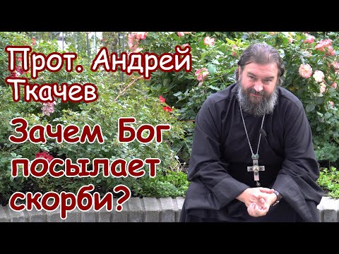 Видео: Зачем Бог посылает скорби?