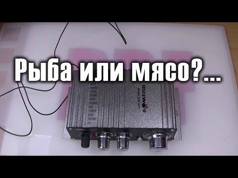 Видео: Усилитель с FM радио BlitzWolf  BW-AP1