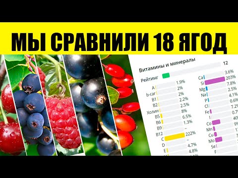 Видео: Узнайте Самые Полезные Ягоды и Бесполезные