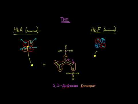Видео: Фетальный гемоглобин и гематокрит