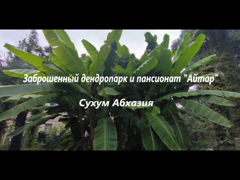 Видео: Заброшенный дендропарк и пансионат "Айтар". Сухум. Абхазия.
