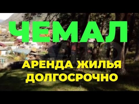 Видео: Алтай. Чемал. Аренда жилья ДОЛГОСРОЧНО 89130939401 WhatsApp