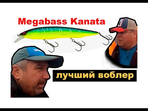 Видео: Воблер лучший для щуки Megabass KANATA