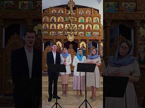 Видео: "Агни Парфене" ("Марие Дево, Пресвятая Богородице...")