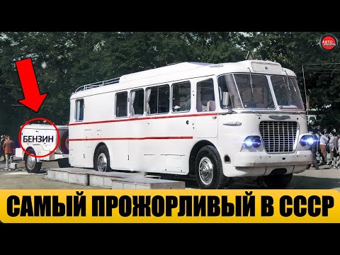 Видео: 5 САМЫХ ПРОЖОРЛИВЫХ АВТОБУСОВ СССР.