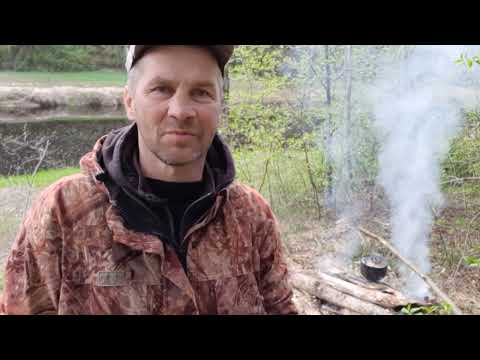 Видео: В этот раз река Сясь баловала нас лишь щукой.