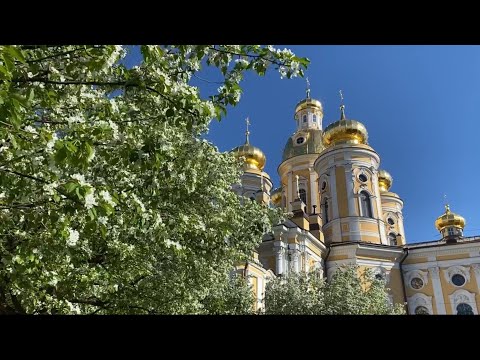 Видео: 💖Между зимой и летом. С любовью из Петербурга: о весне в городе и Ленобласти.