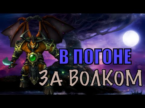 Видео: В погоне за волком (АУФ)! (AW)