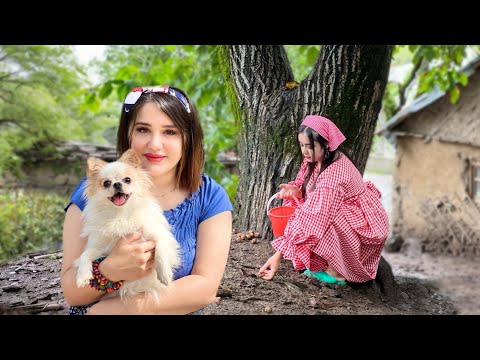 Видео: Повседневная жизнь двух сестер в сельском раю | Сбор грецких орехов и кулинария