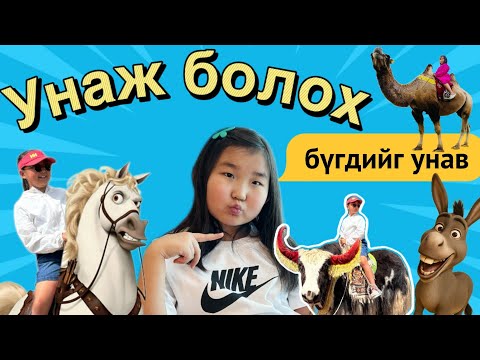 Видео: Унаж болох БҮГДИЙГ унав. 
