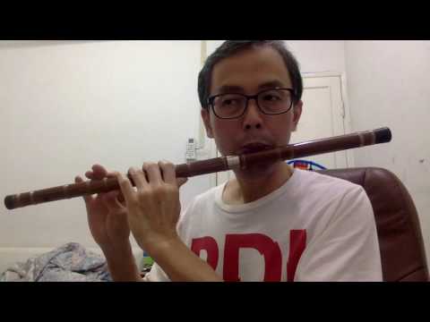 Видео: 7 Как играть на дицзы: ноты первой октавы