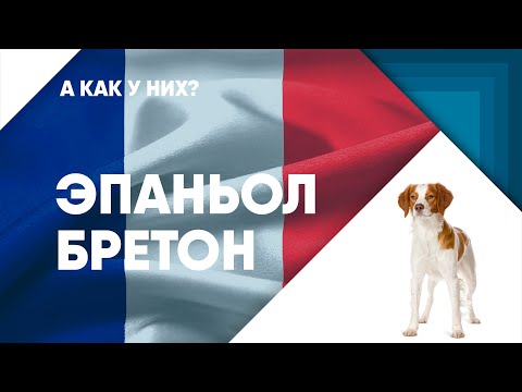 Видео: Эпаньол Бретон - обзорный фильм.