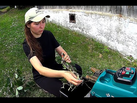Видео: Вся РАБОТА в деревне ЗА 1 ДЕНЬ! 🤯 От огорода до щепореза.