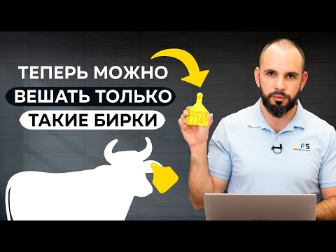 Видео: Закон об идентификации животных 2024. Что теперь делать?