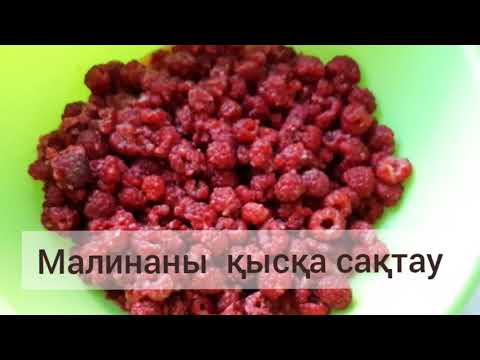 Видео: Малинаны қысқа қатыру/заморозка малины на зиму