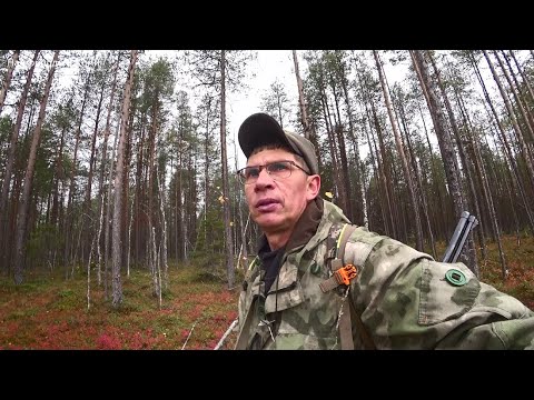 Видео: Ходовая охота. Иду с ночёвкой в избушку. Ужасная погода! 1 серия