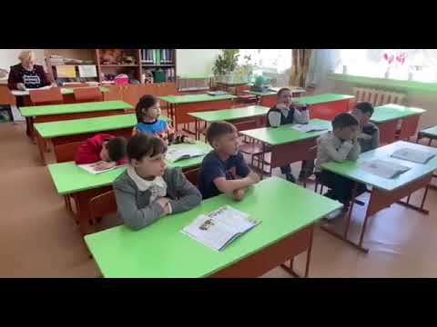 Видео: Урок познания мира в 3 классе.