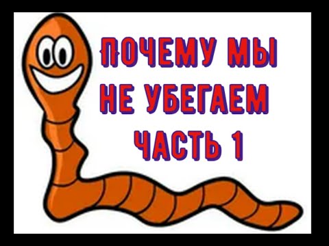 Видео: Червь. Что делать что бы червь не убегал из ящиков! Моя мини вермиферма.